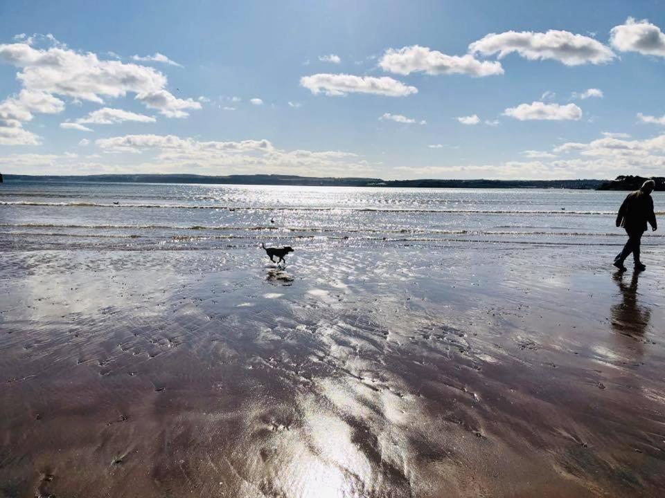 Beaches - South Sands Beach House 토키 외부 사진